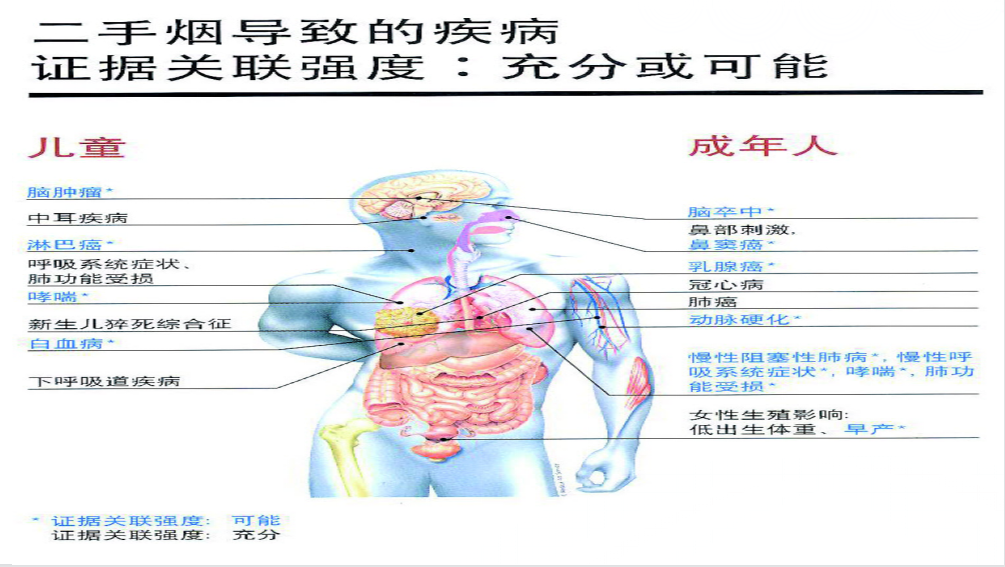 吸烟对人体12.png